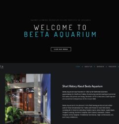 Case Study - Grow Digitally-BeetaAquarium.lk